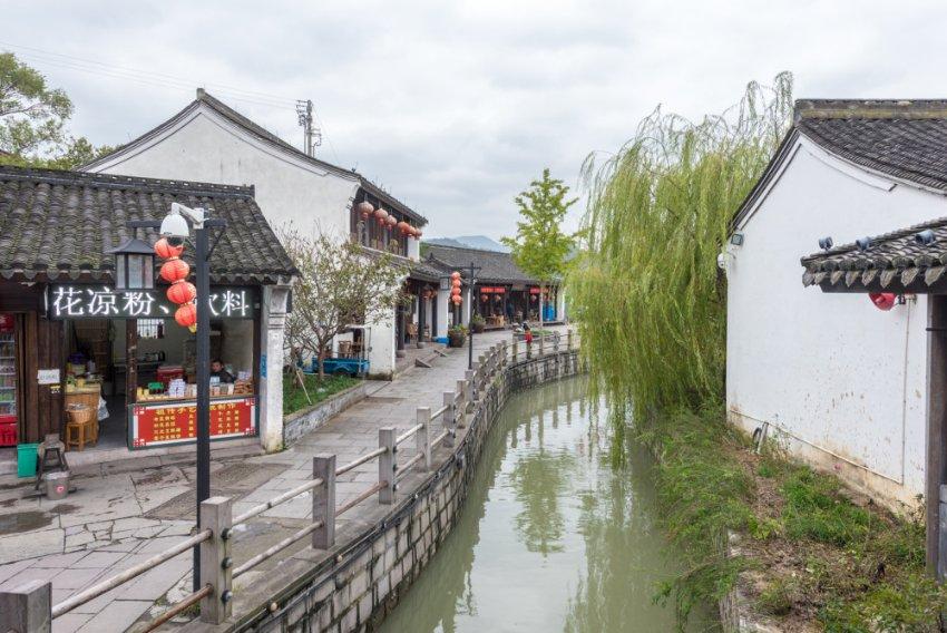 动物帮帮忙保卫家园